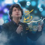 دانلود آهنگ محمد ضمیری دلتنگی